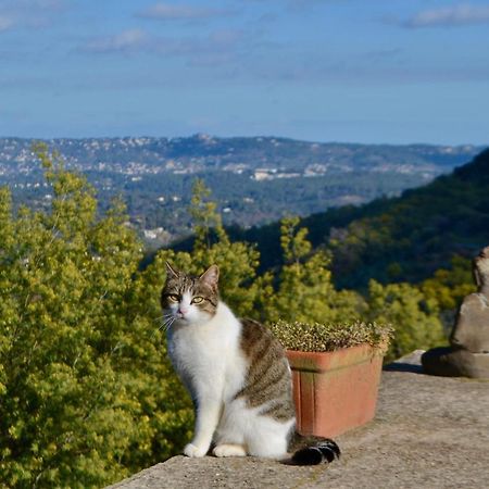 Amoureux Du Calme Et De La Nature Tanneron Exterior photo